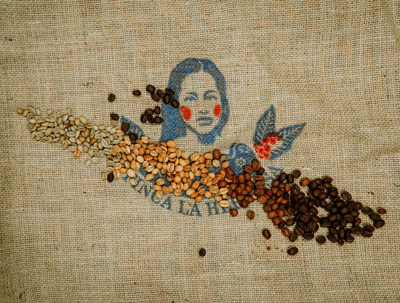 Sterke vs milde koffie: welke smaak past bij jou?